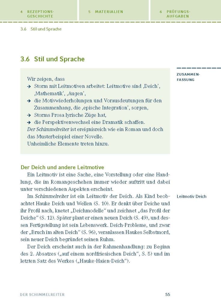Weitere Ansicht: Der Schimmelreiter von Theodor Storm