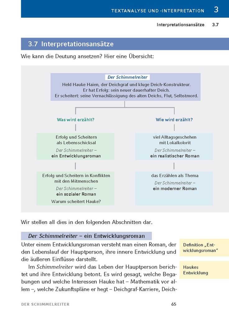 Weitere Ansicht: Der Schimmelreiter von Theodor Storm