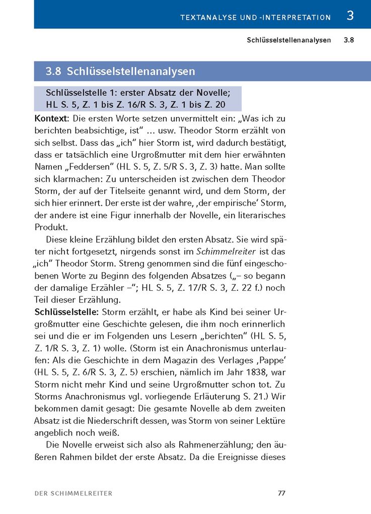 Weitere Ansicht: Der Schimmelreiter von Theodor Storm