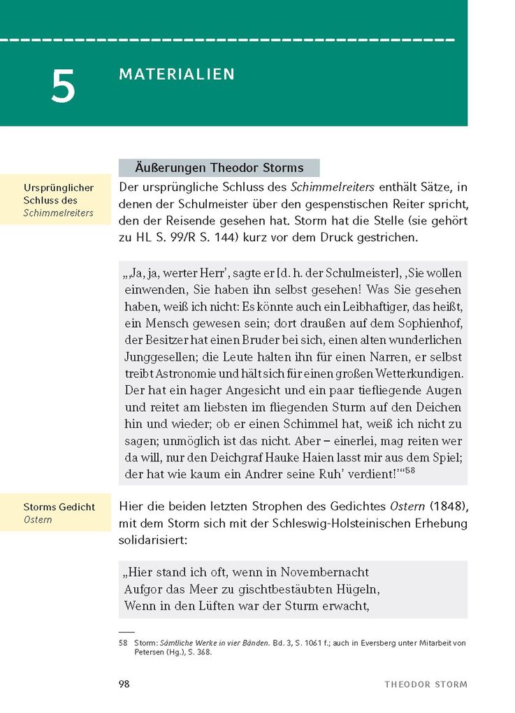 Weitere Ansicht: Der Schimmelreiter von Theodor Storm