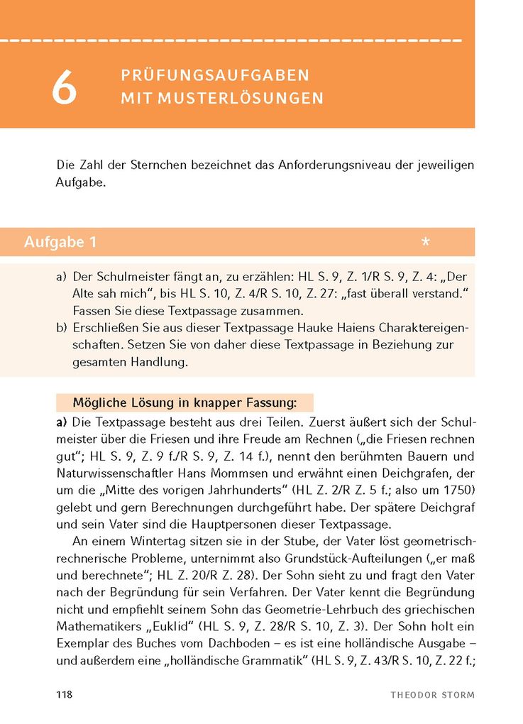 Weitere Ansicht: Der Schimmelreiter von Theodor Storm