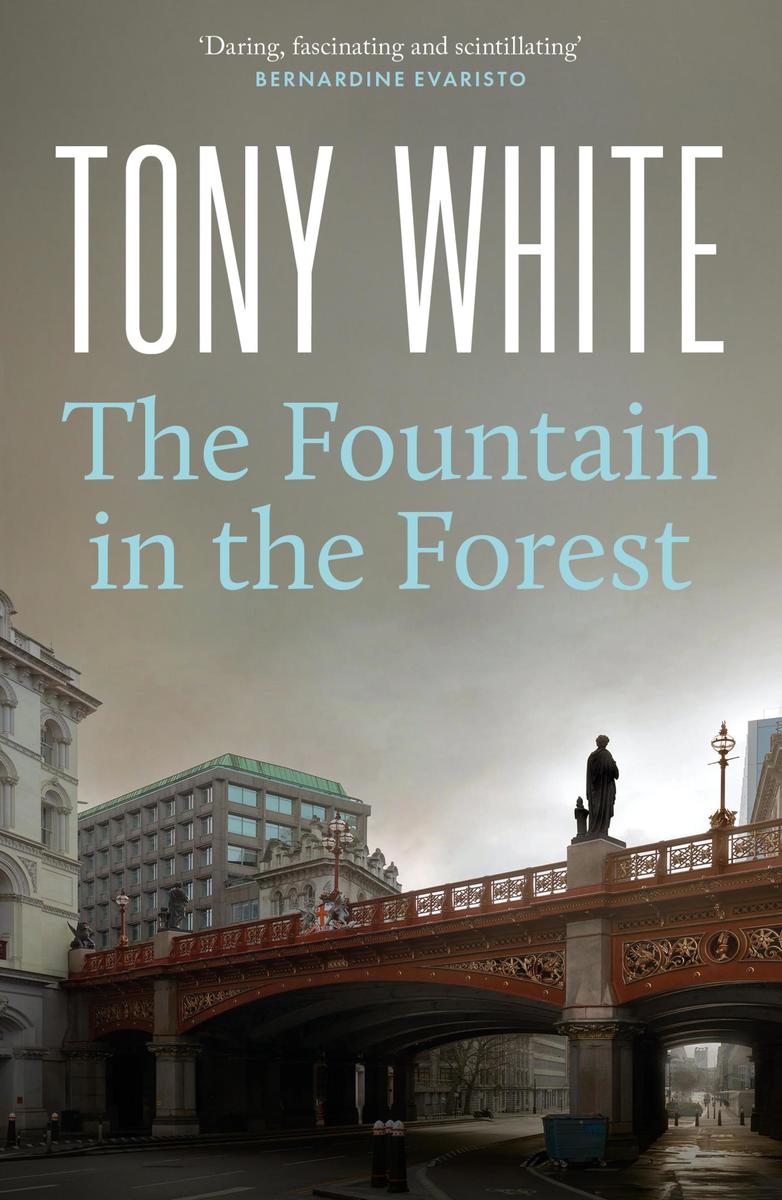 Produktbild: The Fountain in the Forest | Tony White