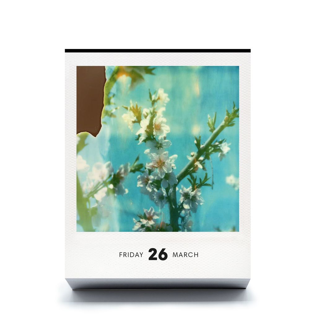 Weitere Ansicht: PHOTODARIUM 2027 | Boris Kahl