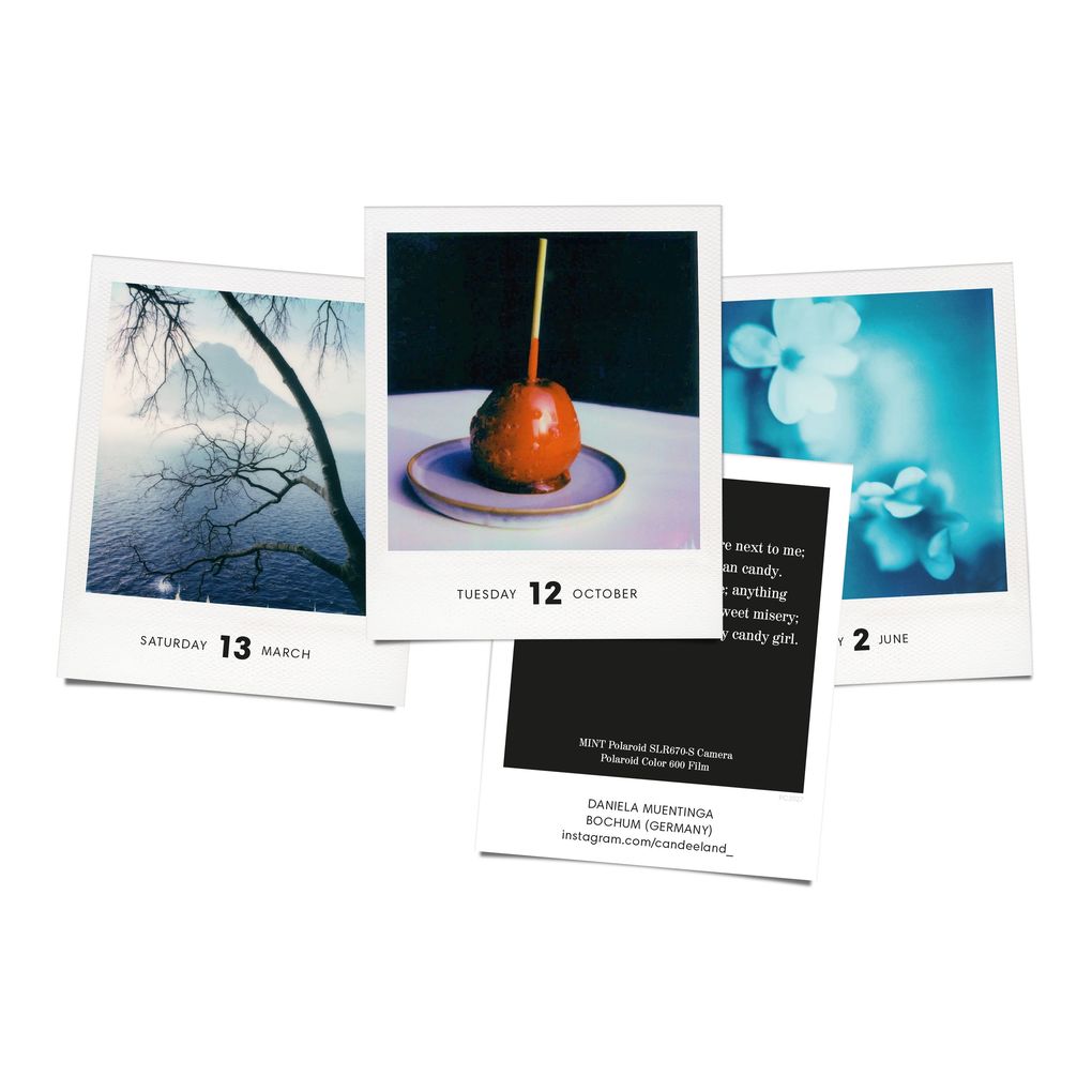 Weitere Ansicht: PHOTODARIUM 2027 | Boris Kahl