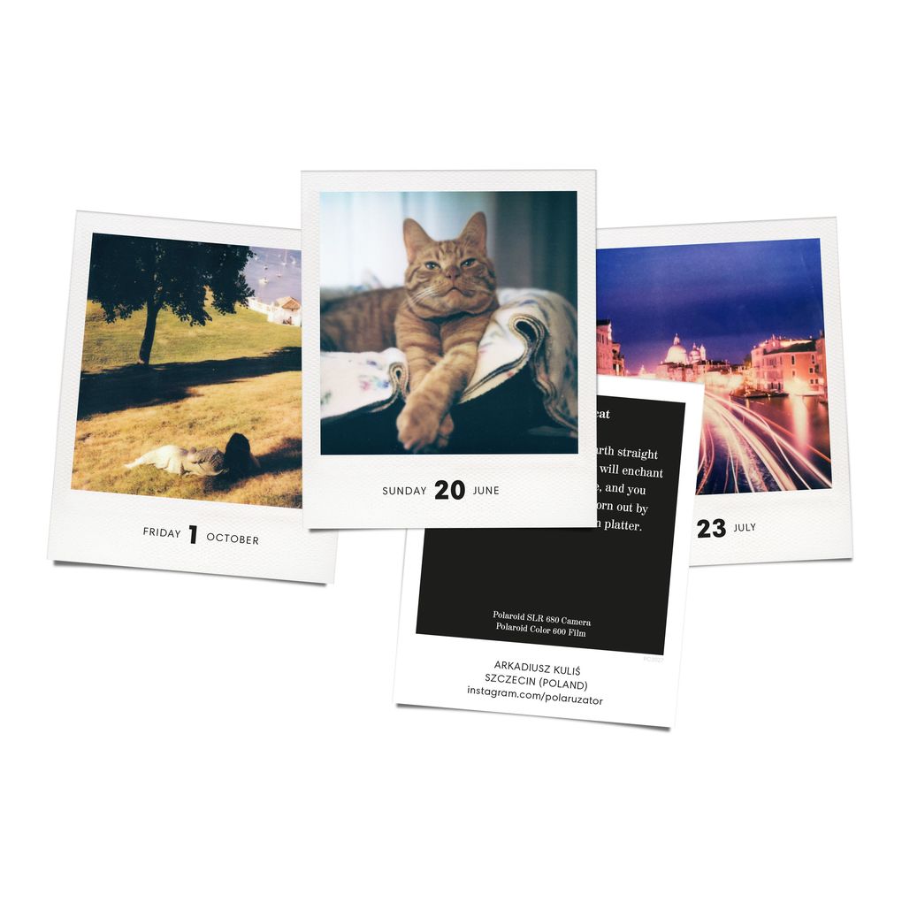Weitere Ansicht: PHOTODARIUM 2027 | Boris Kahl