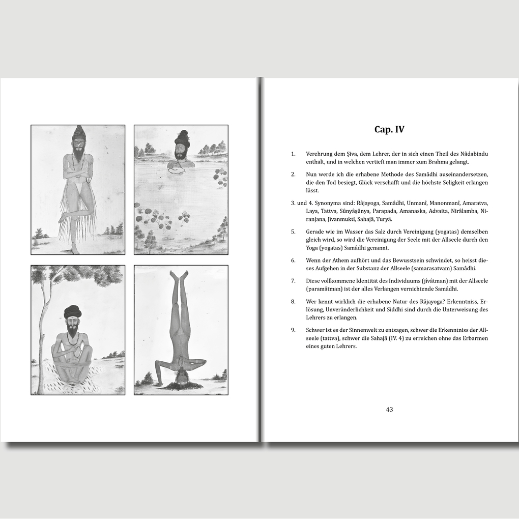 Weitere Ansicht: Svâtmârâma's Hahayogapradîpikâ