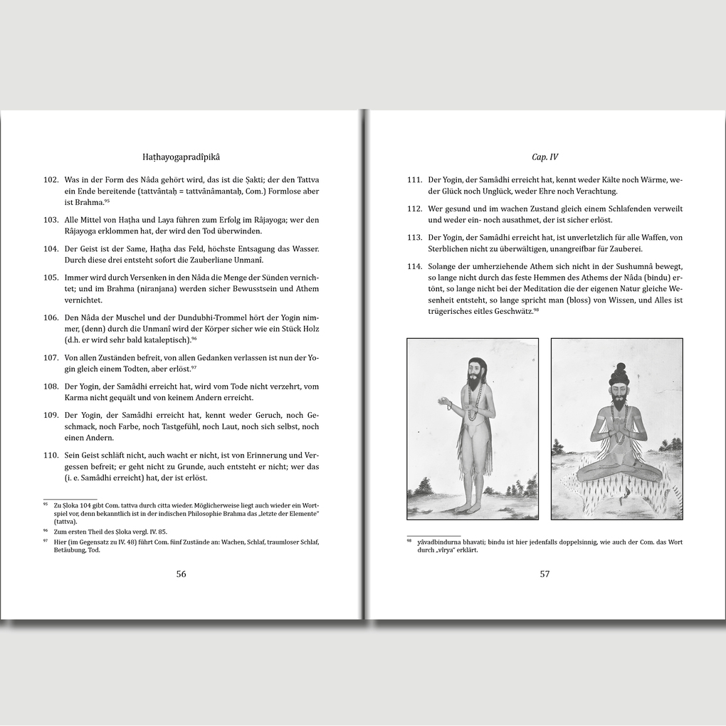 Weitere Ansicht: Svâtmârâma's Hahayogapradîpikâ