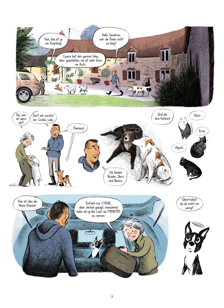 Weitere Ansicht: Hunde verstehen (Graphic Novel) | Nitsan Lir