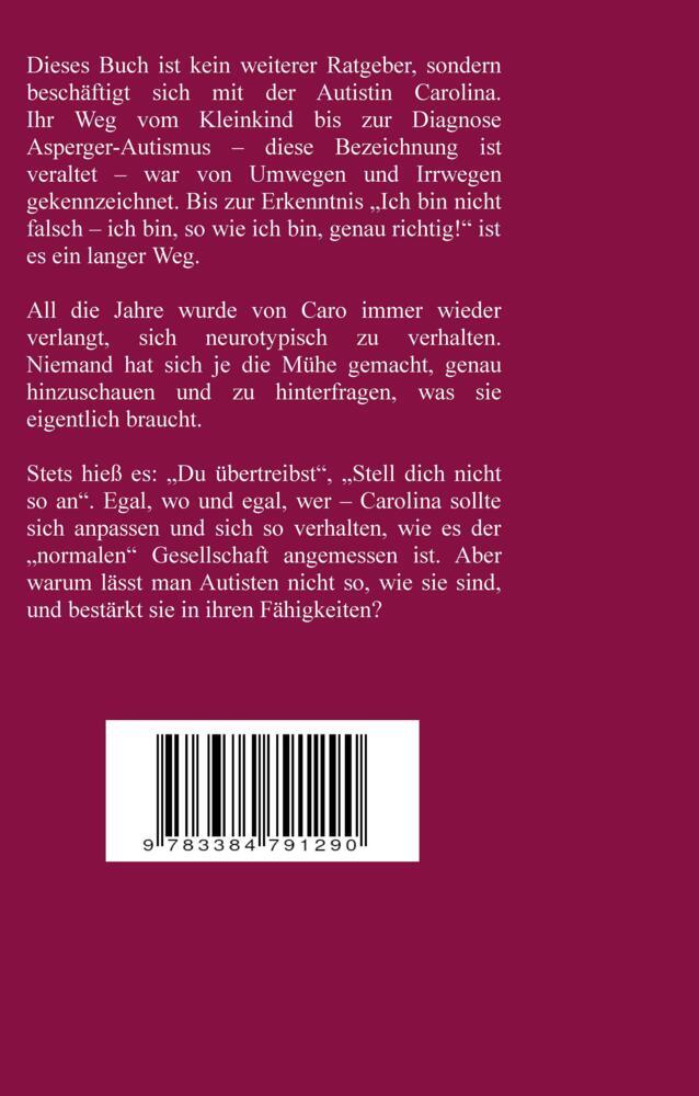 Weitere Ansicht: ASS Autismus-Spektrums-Segnung - Inklusion ist keine Einbahnstraße: hochfunktionaler Autismus, Mobbing, Trauma, Sucht, Häusliche Gewalt, Psychotherapie, Umzug, Inklusion, Katholische Kirche, Zen | Rolf Horst