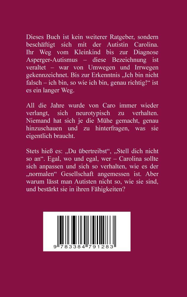 Weitere Ansicht: ASS Autismus-Spektrums-Segnung - Inklusion ist keine Einbahnstraße: hochfunktionaler Autismus, Mobbing, Trauma, Sucht, Häusliche Gewalt, Psychotherapie, Umzug, Inklusion, Katholische Kirche, Zen | Rolf Horst