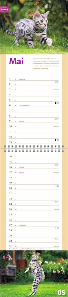 Weitere Ansicht: Whiskas Katzenleben Kalender 2027
