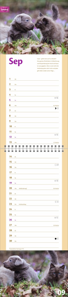 Weitere Ansicht: Whiskas Katzenleben Kalender 2027