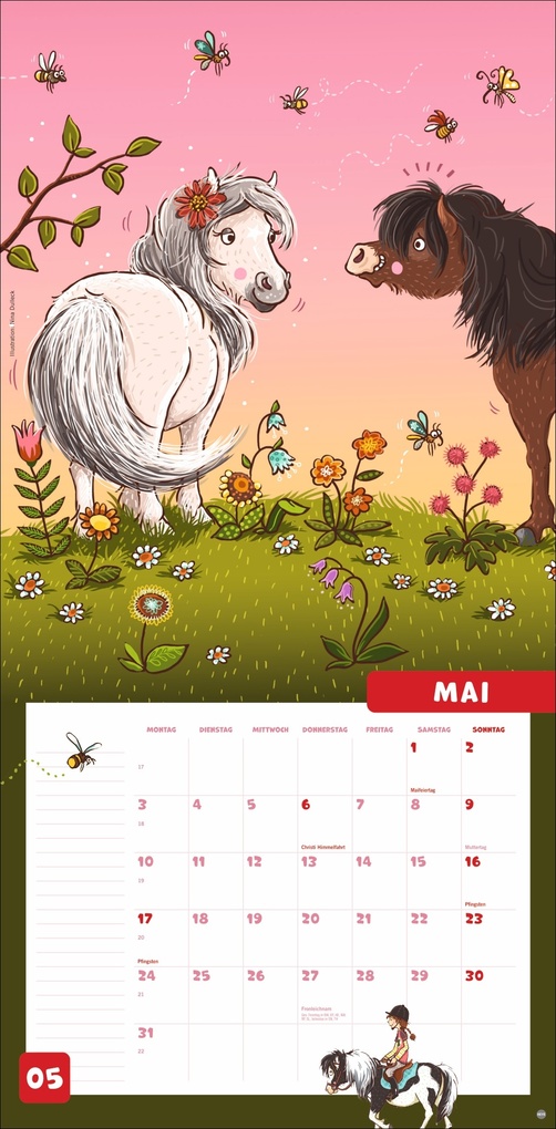 Weitere Ansicht: Haferhorde Broschurkalender 2027 | Suza Kolb