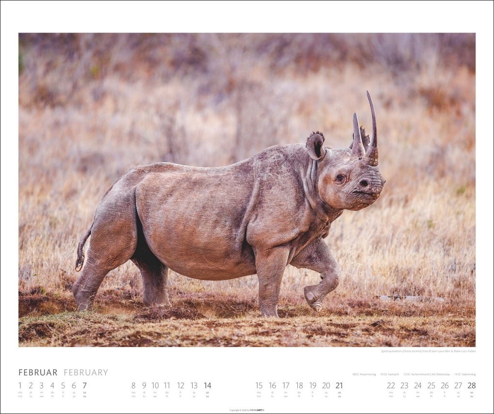 Weitere Ansicht: African Wildlife Kalender 2027