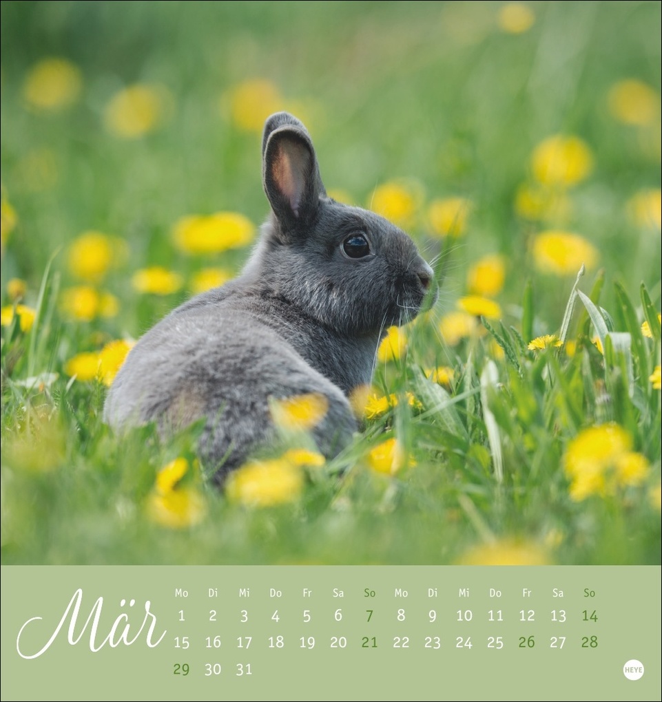 Weitere Ansicht: Süße Kaninchen Postkartenkalender 2027