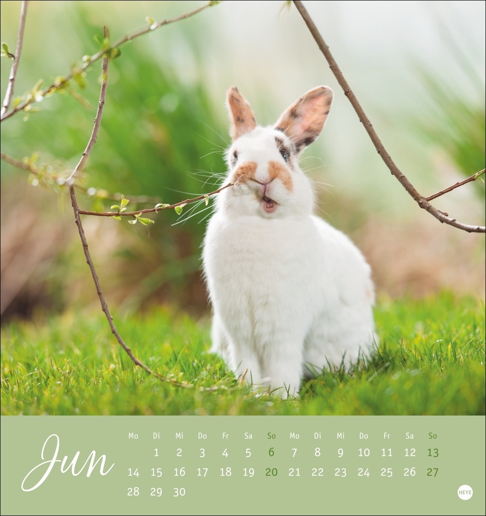 Weitere Ansicht: Süße Kaninchen Postkartenkalender 2027