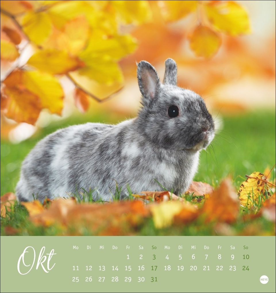 Weitere Ansicht: Süße Kaninchen Postkartenkalender 2027