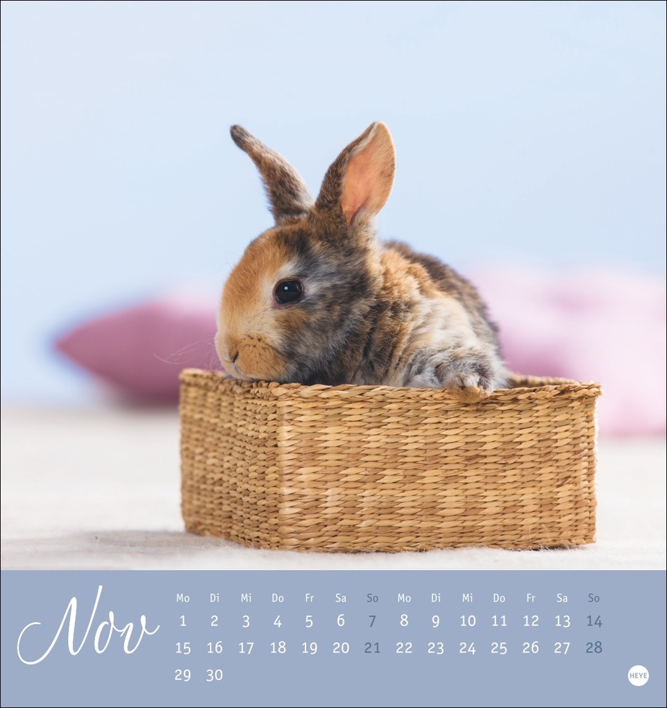 Weitere Ansicht: Süße Kaninchen Postkartenkalender 2027