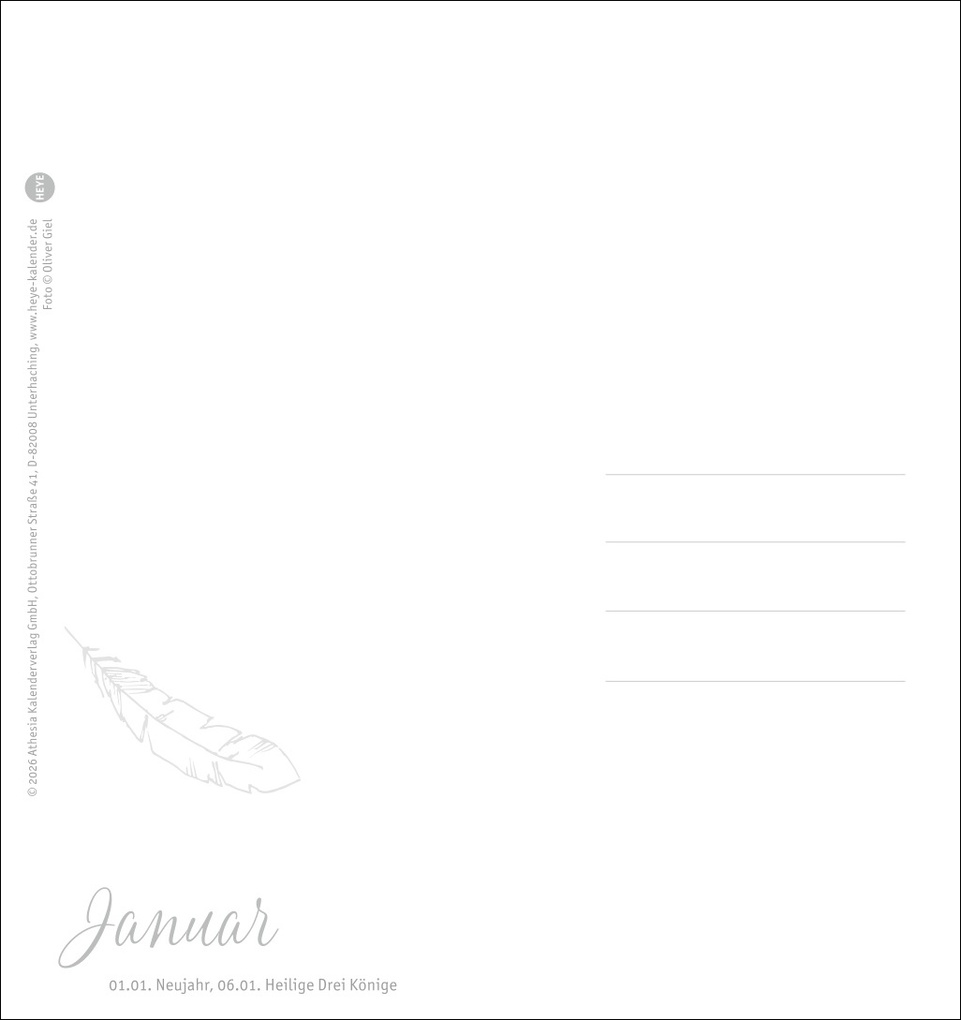 Weitere Ansicht: Freche Wellensittiche Postkartenkalender 2027