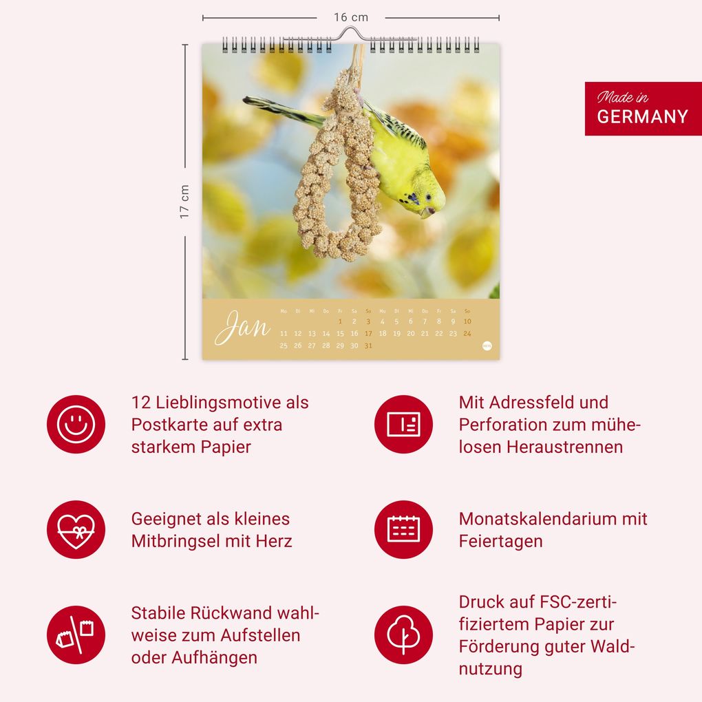 Weitere Ansicht: Freche Wellensittiche Postkartenkalender 2027
