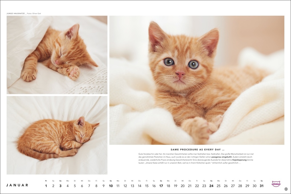 Weitere Ansicht: Whiskas Katzenkalender 2027
