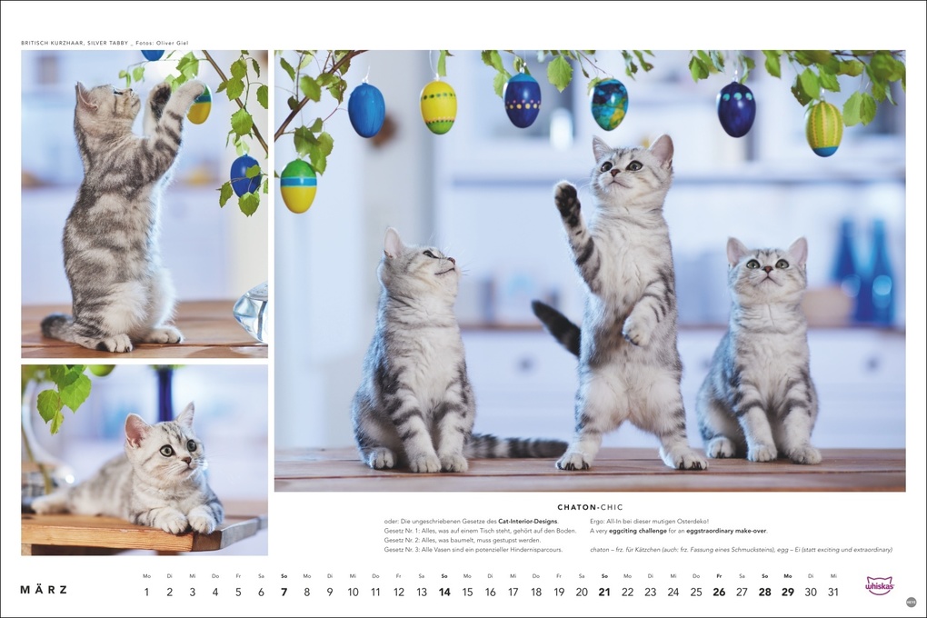 Weitere Ansicht: Whiskas Katzenkalender 2027