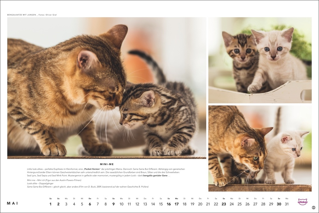 Weitere Ansicht: Whiskas Katzenkalender 2027