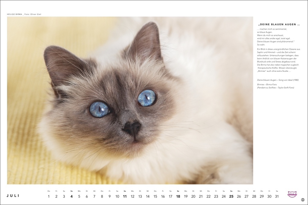 Weitere Ansicht: Whiskas Katzenkalender 2027