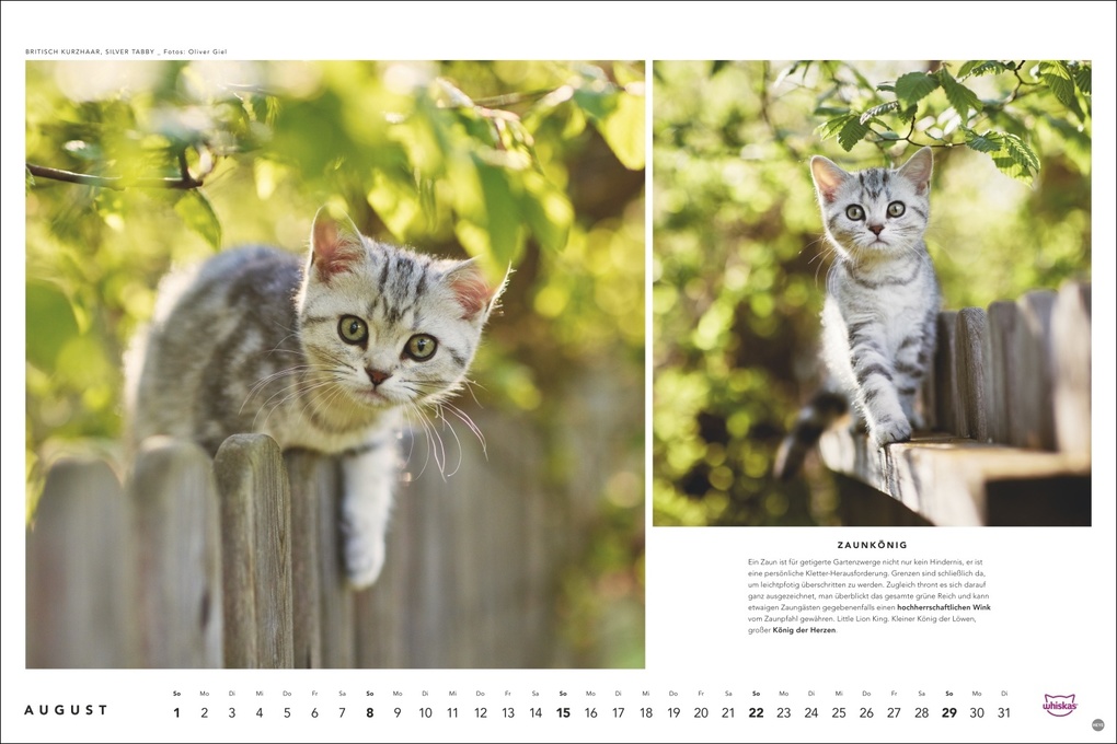 Weitere Ansicht: Whiskas Katzenkalender 2027
