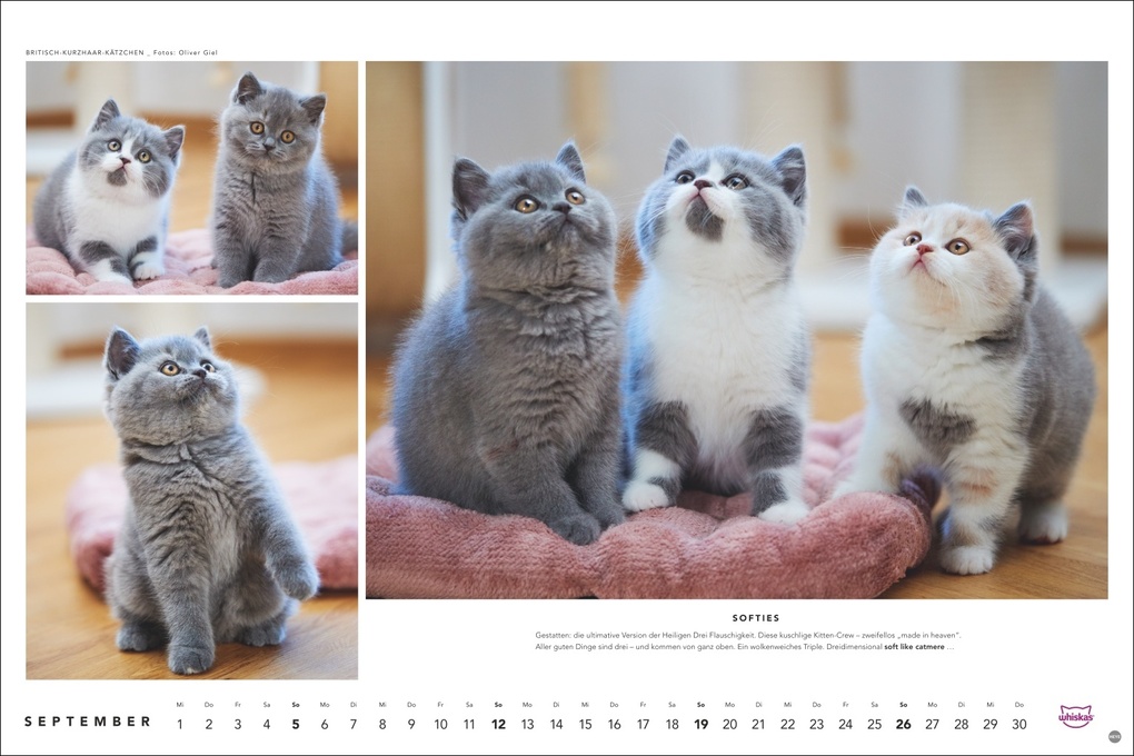 Weitere Ansicht: Whiskas Katzenkalender 2027