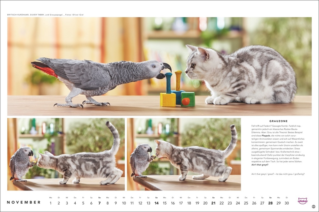 Weitere Ansicht: Whiskas Katzenkalender 2027