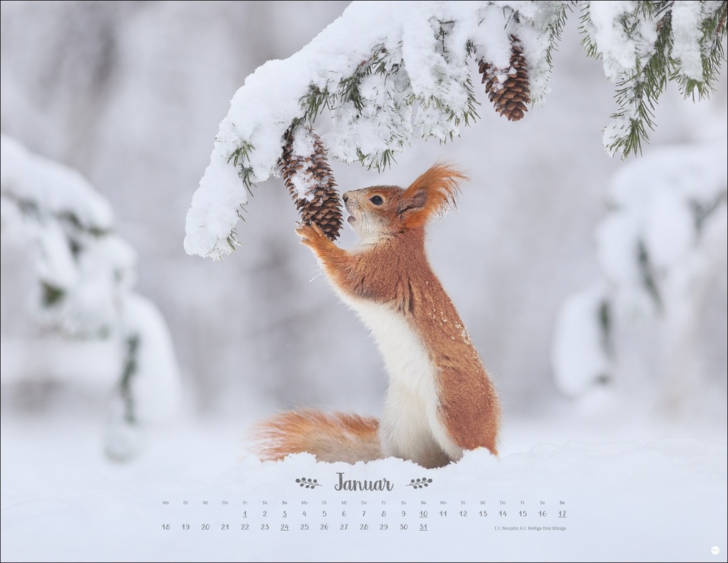 Weitere Ansicht: Vadim Trunov: Märchenhaftes Waldleben Posterkalender 2027