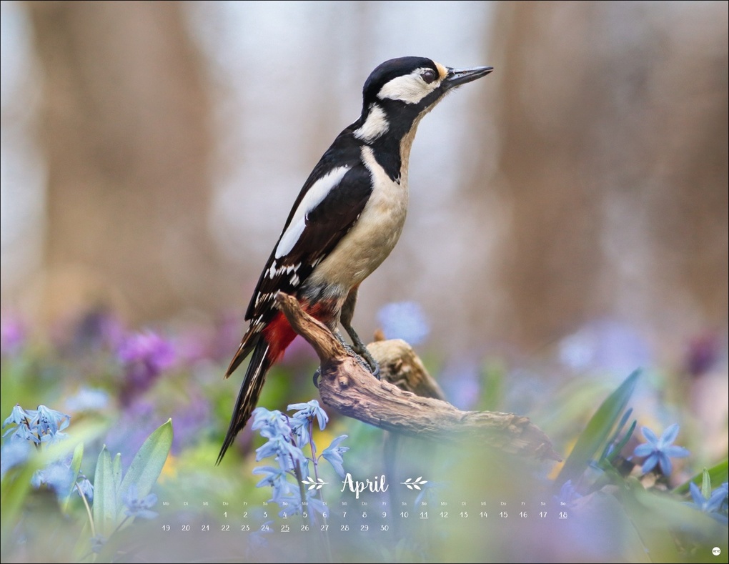 Weitere Ansicht: Vadim Trunov: Märchenhaftes Waldleben Posterkalender 2027