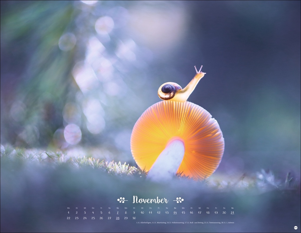 Weitere Ansicht: Vadim Trunov: Märchenhaftes Waldleben Posterkalender 2027