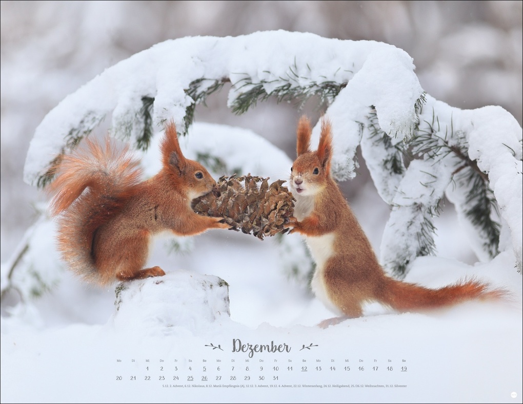 Weitere Ansicht: Vadim Trunov: Märchenhaftes Waldleben Posterkalender 2027