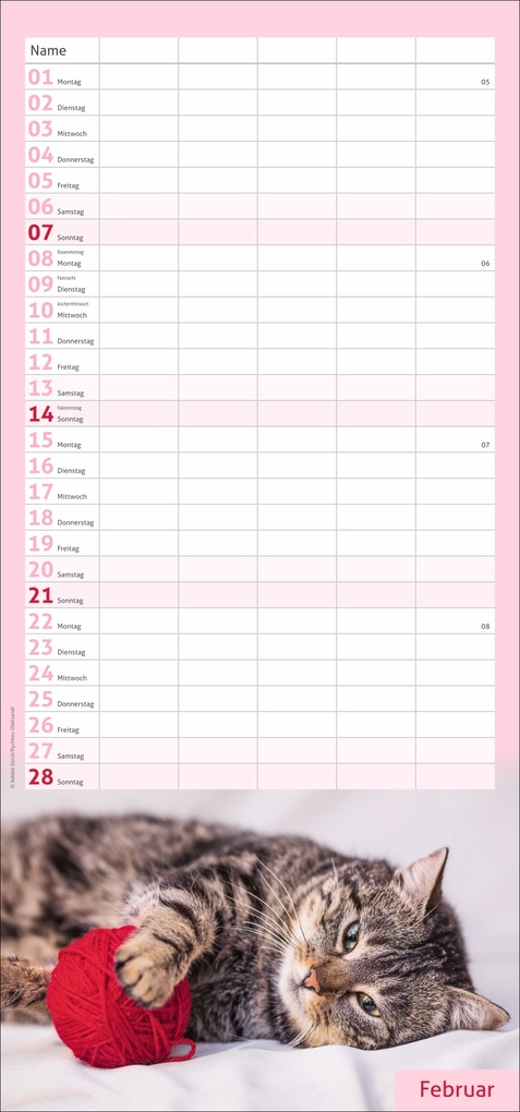 Weitere Ansicht: times&more Katzen Familienplaner 2027