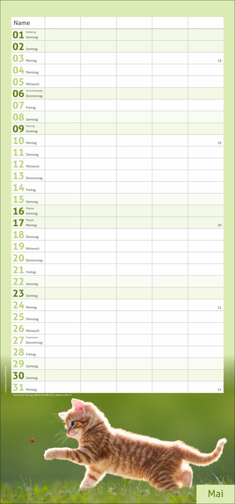 Weitere Ansicht: times&more Katzen Familienplaner 2027