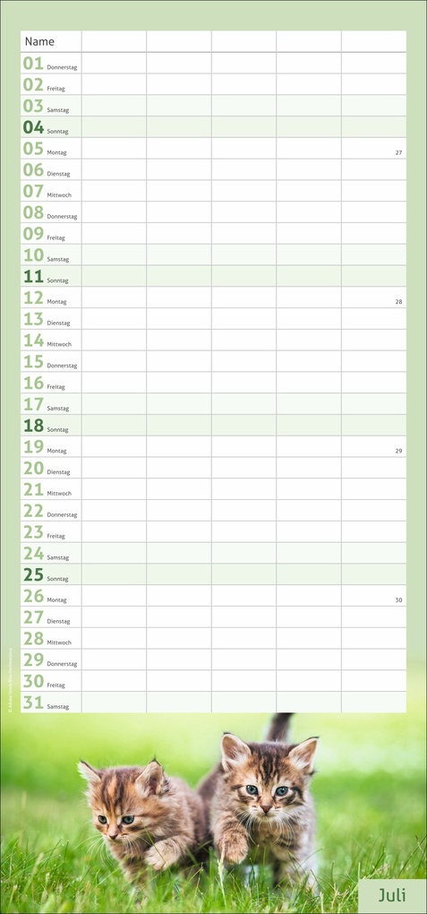 Weitere Ansicht: times&more Katzen Familienplaner 2027