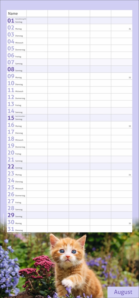 Weitere Ansicht: times&more Katzen Familienplaner 2027