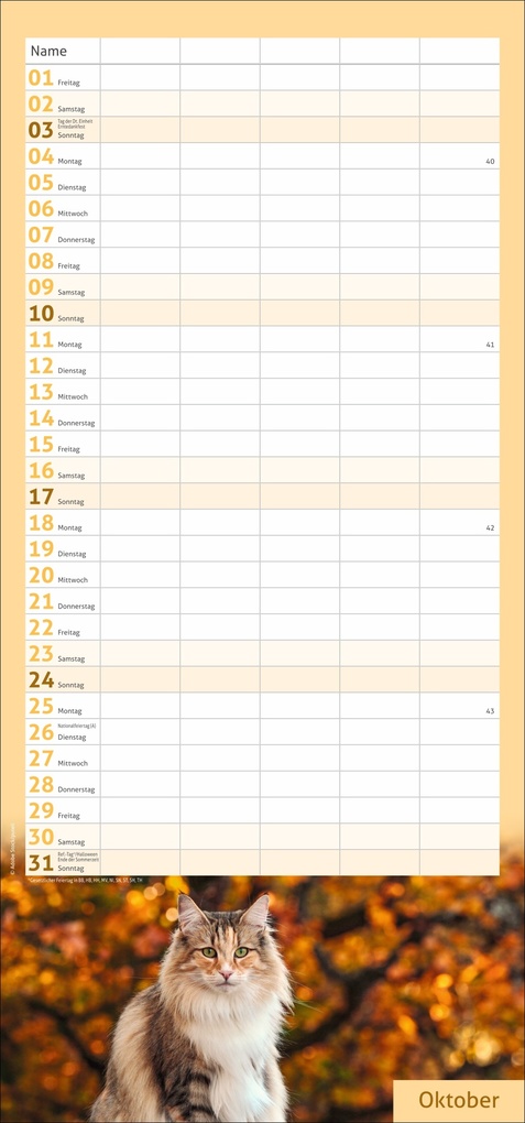 Weitere Ansicht: times&more Katzen Familienplaner 2027
