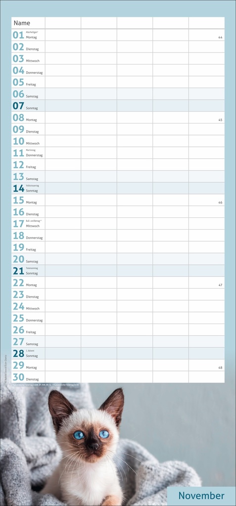 Weitere Ansicht: times&more Katzen Familienplaner 2027