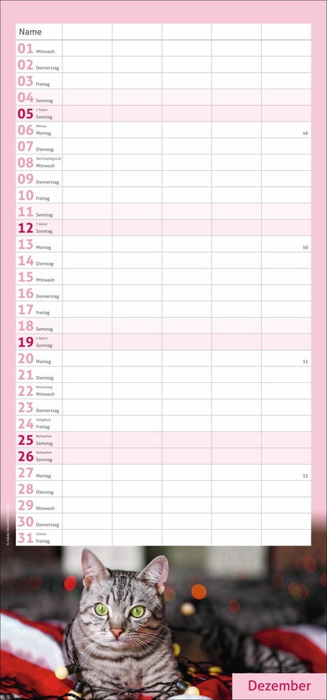 Weitere Ansicht: times&more Katzen Familienplaner 2027