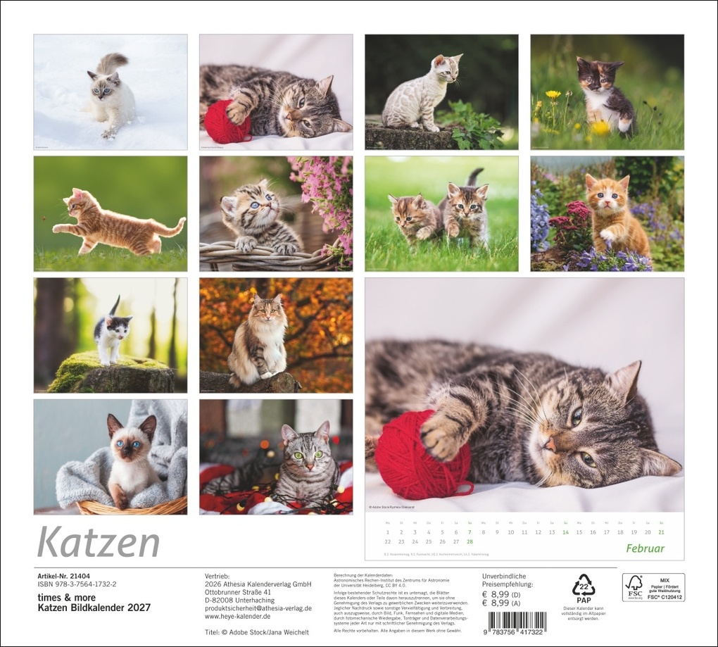 Weitere Ansicht: times&more Katzen Bildkalender 2027