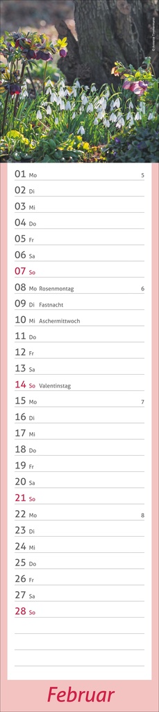 Weitere Ansicht: times&more Garten Langplaner 2027