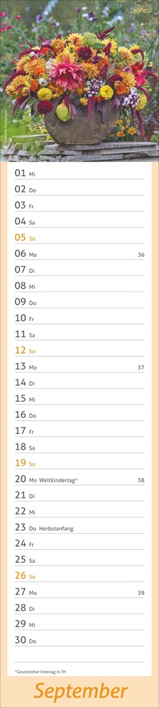 Weitere Ansicht: times&more Garten Langplaner 2027