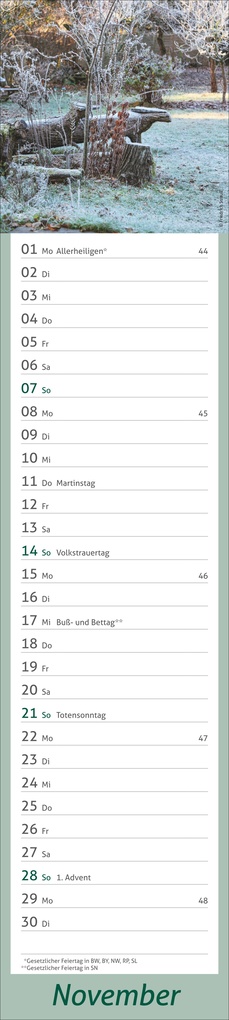 Weitere Ansicht: times&more Garten Langplaner 2027
