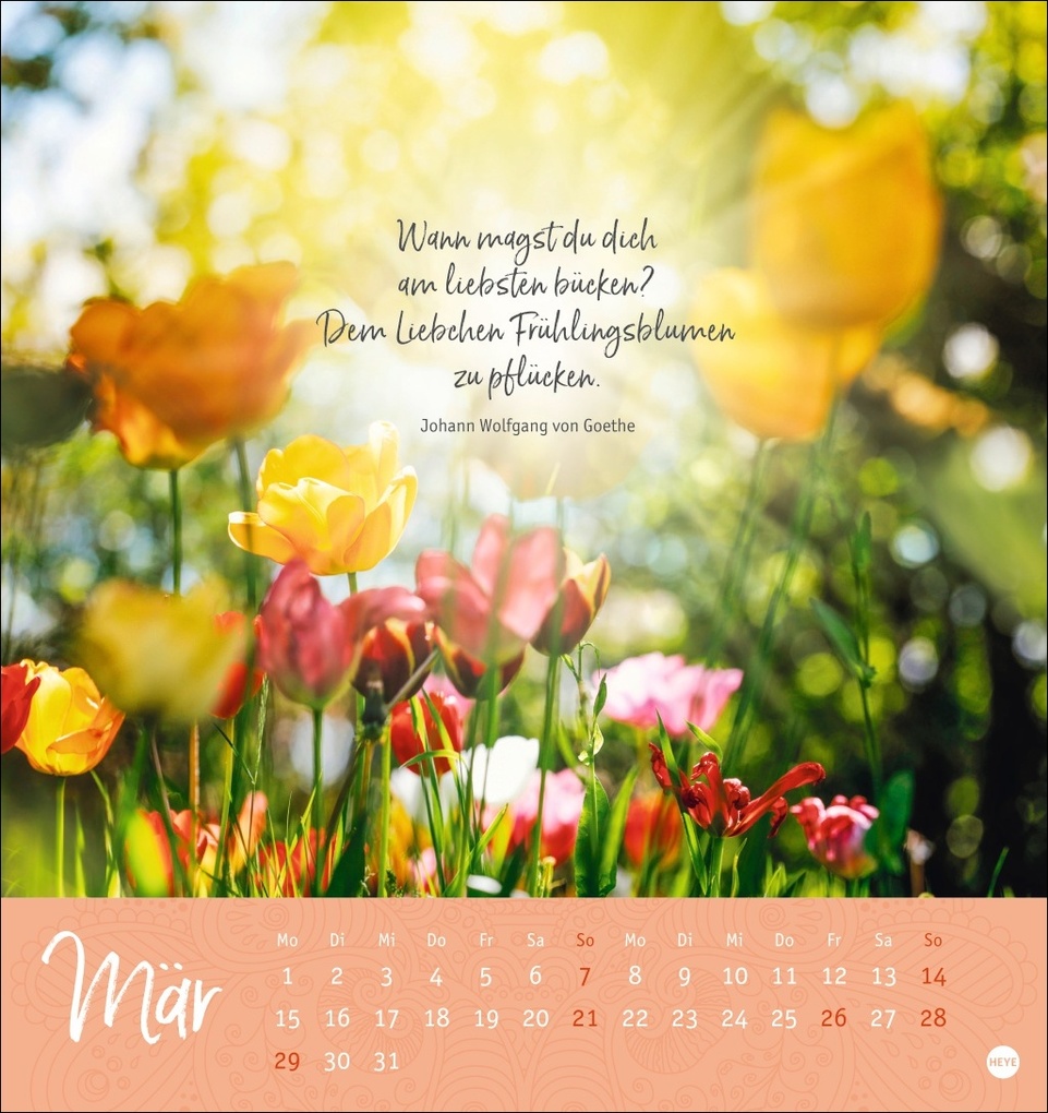 Weitere Ansicht: Augenblicke voller Zuversicht Postkartenkalender 2027