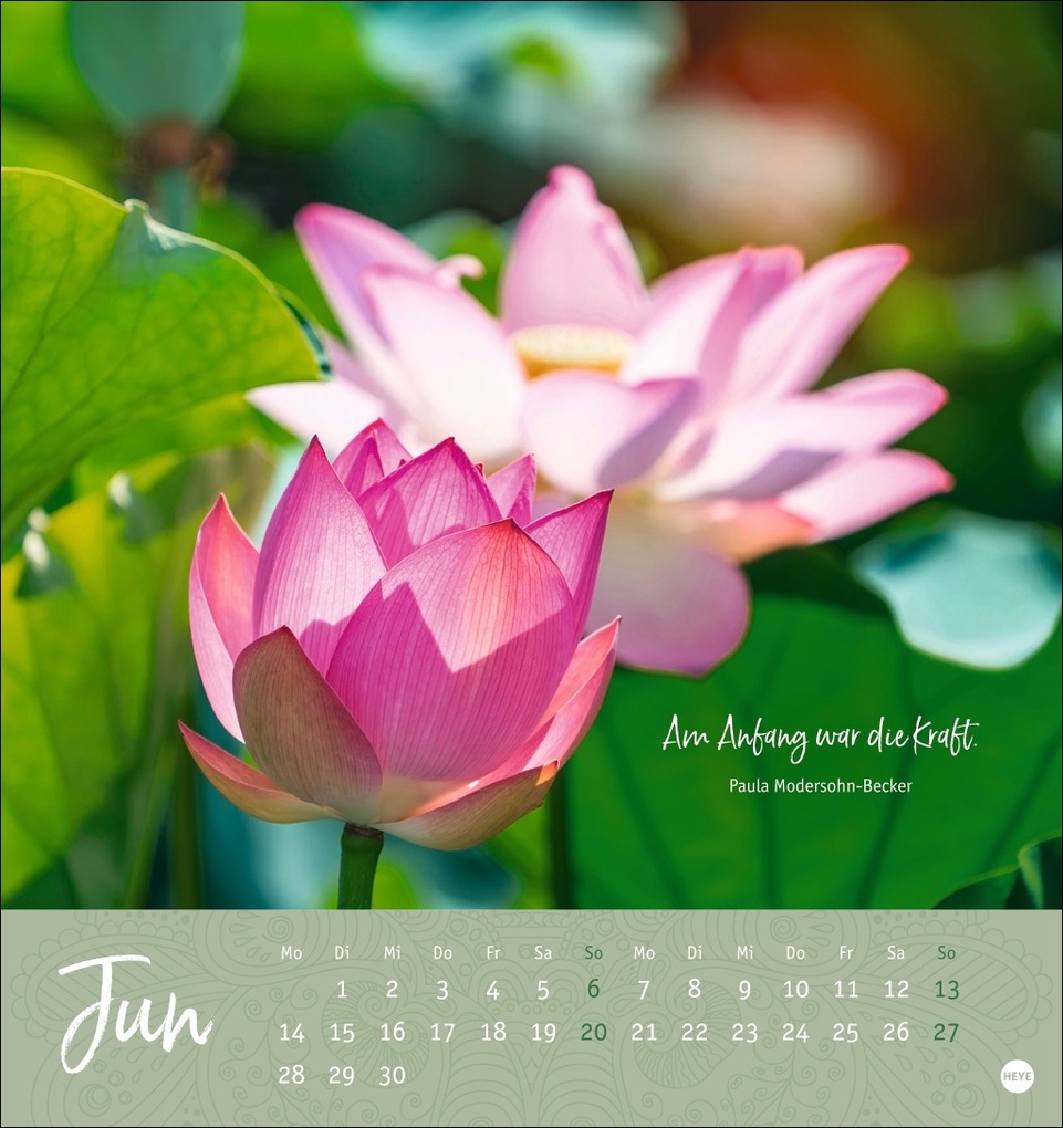 Weitere Ansicht: Augenblicke voller Zuversicht Postkartenkalender 2027