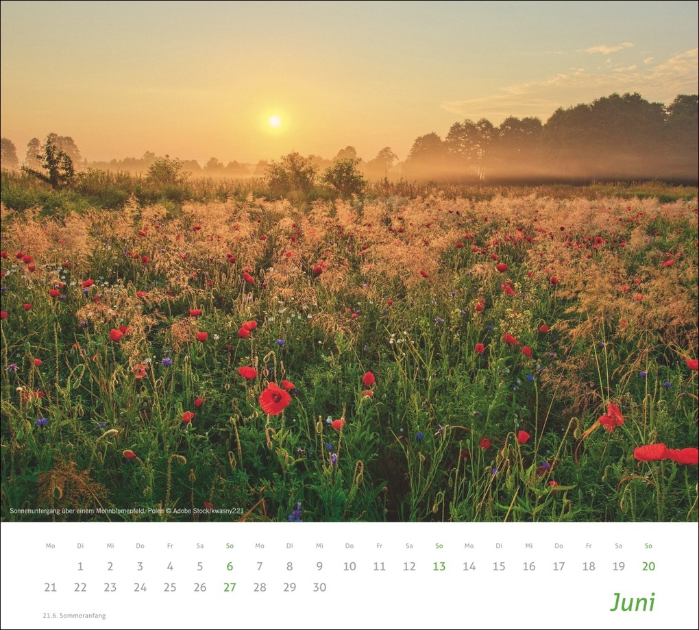 Weitere Ansicht: times&more Sonnige Momente Bildkalender 2027