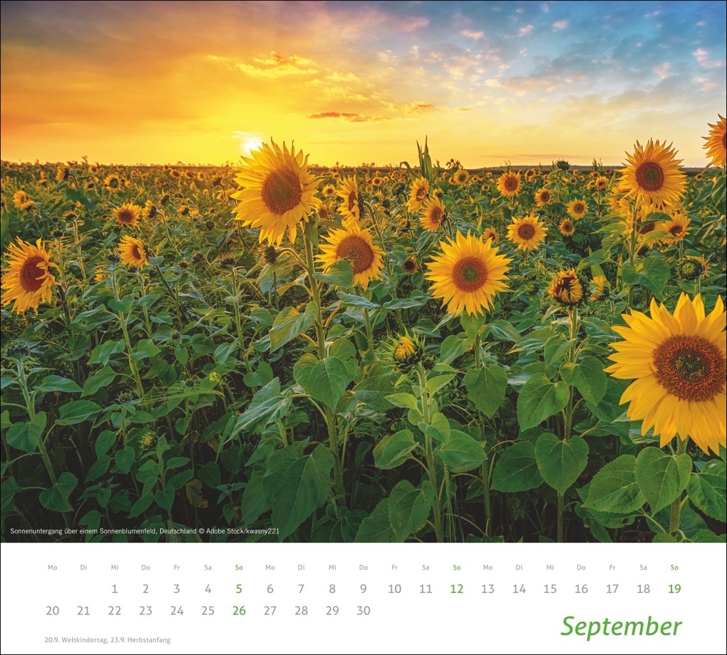 Weitere Ansicht: times&more Sonnige Momente Bildkalender 2027
